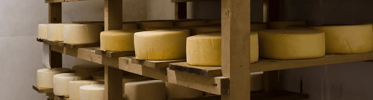 Fromage au lait cru : quels risques pour la santé et comment les prévenir ?