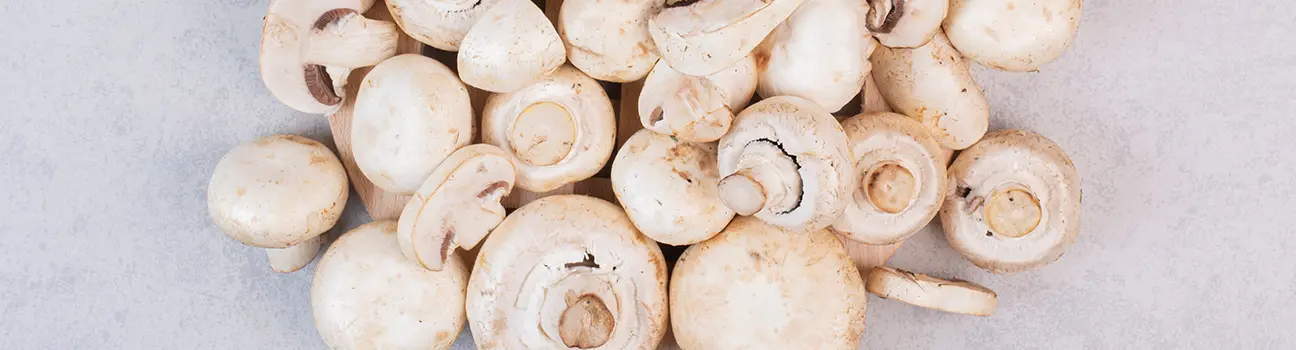 Myrtilles, champignons, plantes médicinales… Ces aliments sensibles à la radioactivité
