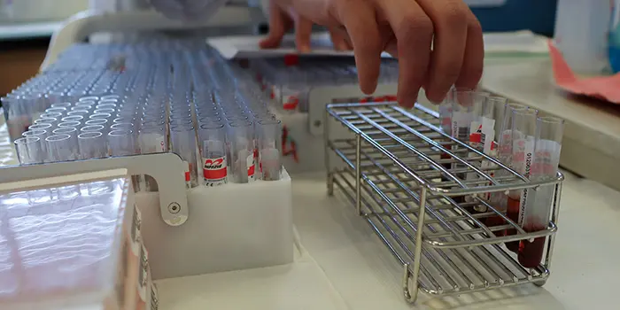 La prophylaxie expliquée : protéger les cheptels pour protéger la santé publique