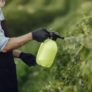 Expert analyse 90 pesticides