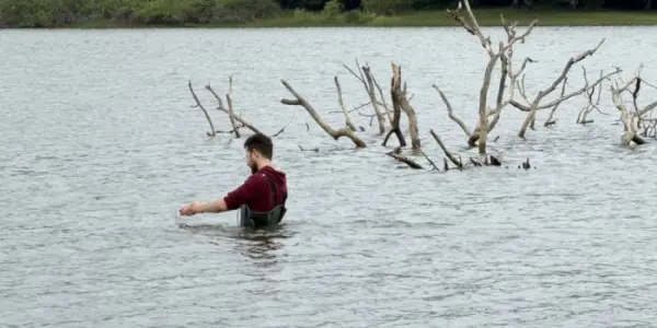 ADN environnemental : de nouvelles recherches signées TERANA pour suivre la biodiversité aquatique