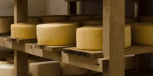 Fromage au lait cru : quels risques pour la santé et comment les prévenir ?